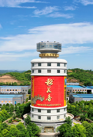 老子有钱lzyq88集团