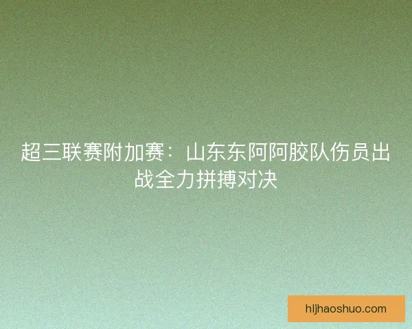 超三联赛附加赛：山东东阿阿胶队伤员出战全力拼搏对决