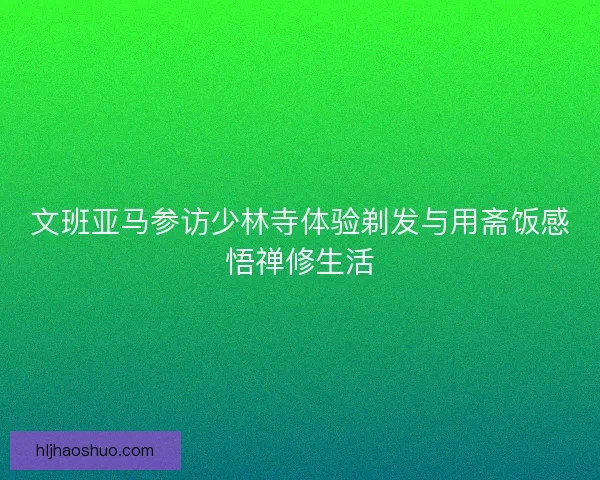 文班亚马参访少林寺体验剃发与用斋饭感悟禅修生活